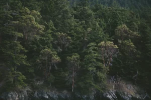 orcas island campgrounds