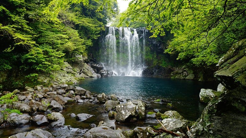 Popular Waterfalls In Florida